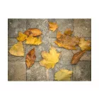 Fotótapéta - Itt van az ősz