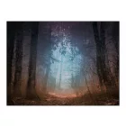 Fotótapéta - Rejtelmes erdő 2