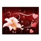 Fotótapéta - Szerelem Liliom