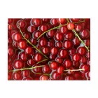 Fotótapéta - Piros ribiszke fürdött a vízben