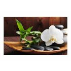 Fotótapéta - Zen templom