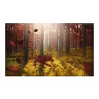 Fotótapéta - Őszre készülve