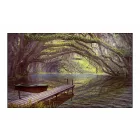 Fotótapéta - Erdei tó