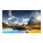 Fotótapéta - Felhőnyi madarak