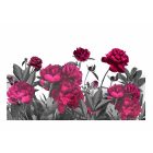 Fotótapéta - Festett virágok 2