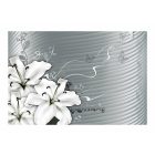 Fotótapéta - Pillangók vándorlása