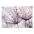 Fotótapéta - Virágok az esőben