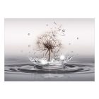 Fotótapéta - Vízcseppek a szélben