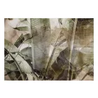 Fotótapéta - Banán dzsungel