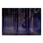 Fotótapéta - Rejtőzködő szarvas 2