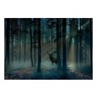 Fotótapéta - Rejtőzködő szarvas 3