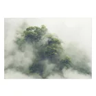 Fotótapéta - Ködös Amazon