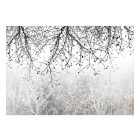 Fotótapéta - Természet szépségei