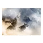 Fotótapéta - Farkas falka