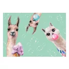 Fotótapéta - Bugyuta lámák