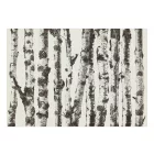 Fotótapéta - Nyírfa erdő 3