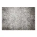 Fotótapéta - Pálmák szürkében