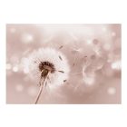 Fotótapéta - Pitypang kavalkád