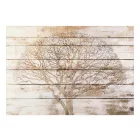 Fotótapéta - Fa a deszkán