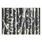 Fotótapéta - Nyírfák árnyékában