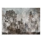 Fotótapéta - Erdő közepében