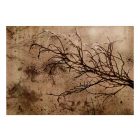 Fotótapéta - Cseresznyefa ágak