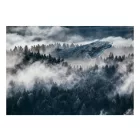 Fotótapéta - Álmos helyek