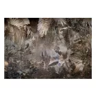 Fotótapéta - A titokzatos dzsungel