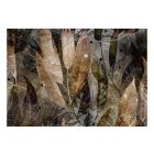 Fotótapéta - Eltűnni a levelek közt