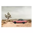 Fotótapéta - Kaliforniai sivatag