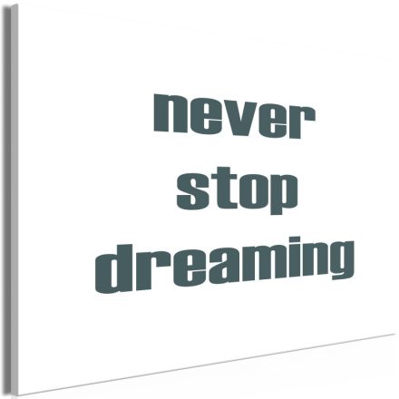 Kép - Never Stop Dreaming-felirattal