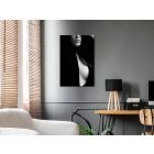 Kép - Érzéki elegancia