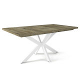 Sötét justus tölgy