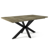 Sötét justus tölgy